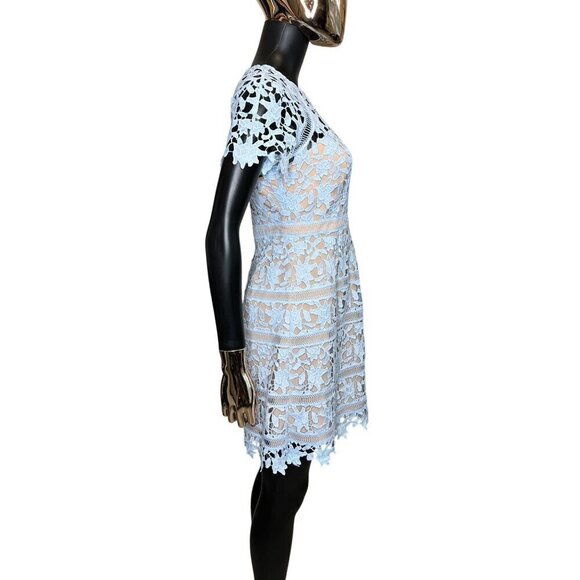 Eliza J Light Blue Floral Lace Short Sleeve Mini Dress Petite 4 - Picture 6 of 12